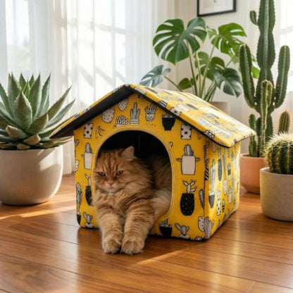 Maisonnettes pour chats et chat caramel Guangdong