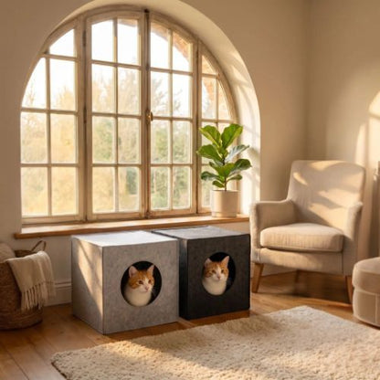 Maisons pour chat Grises PetPliable