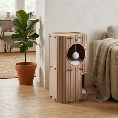 Maisons pour chats Beige déco neutre Zhejiang