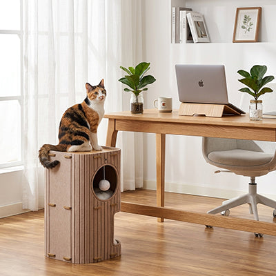 Maisons pour chats Beige observatoir Zhejiang