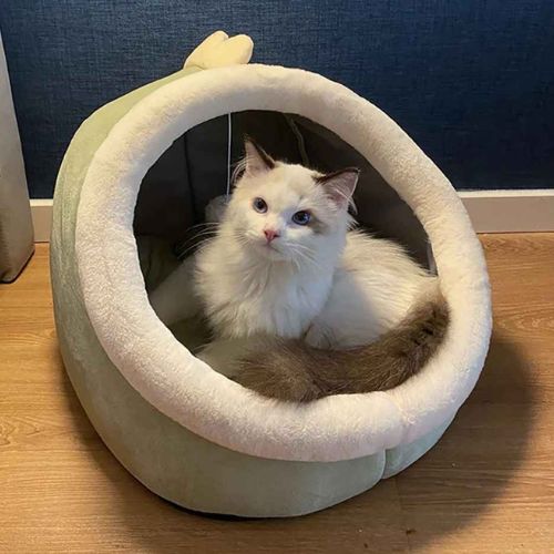 Niche-chat abri sécurisante Guangdong