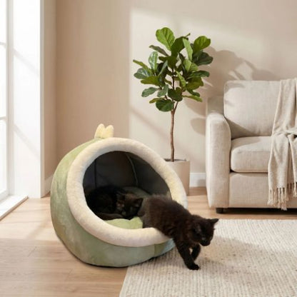Niche chat et deux chatons noirs Guangdong