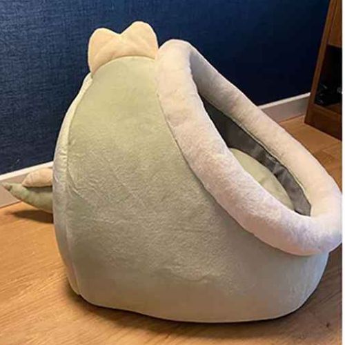 Niche chat profil Guangdong