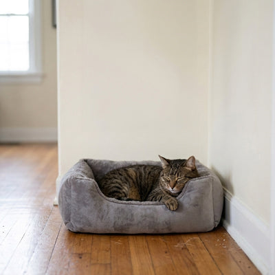 Panier chat moelleux PetConfort