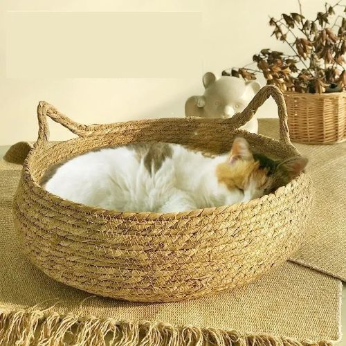Panier chat osier couchage Zhejiang