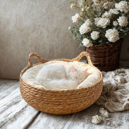 Panier chat osier élégant Zhejiang