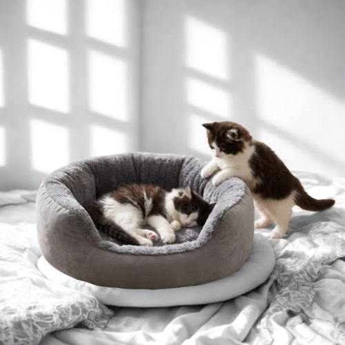 Panier chatons englobant SoftWarm