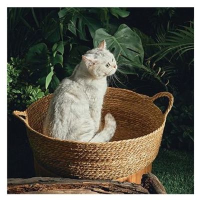 Panier en osier pour chat Brun PetPailleTraissée