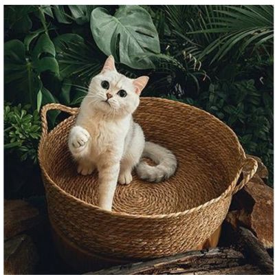 Panier en osier pour chat Lit PetPailleTraissée