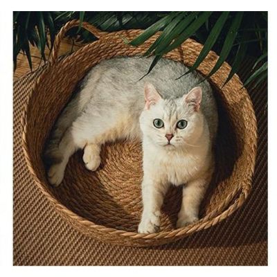 Panier en osier pour chat Paille PetPailleTraissée
