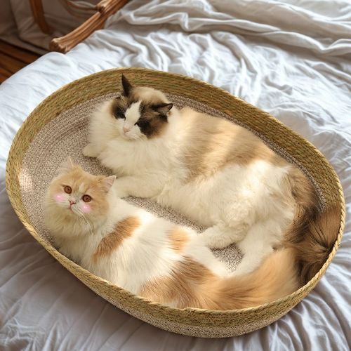 Panier osier pour chat double Zhejiang