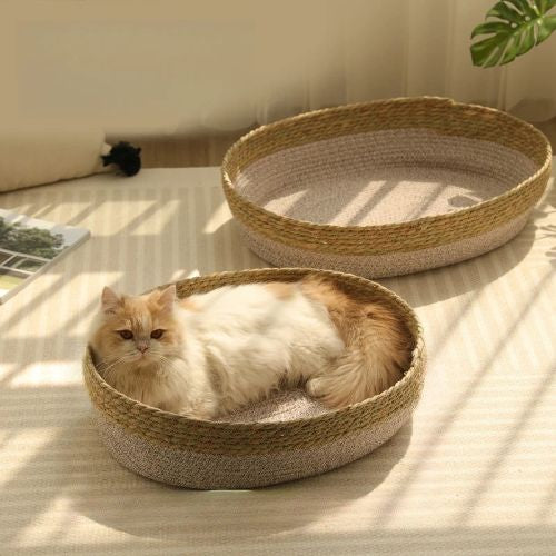 Panier osier pour chat frais Zhejiang