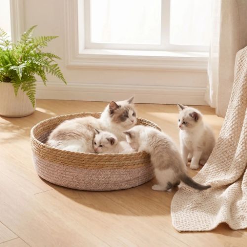 Panier osier pour chat spacieux Zhejiang