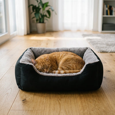 Panier pour chat confortable Guangdong