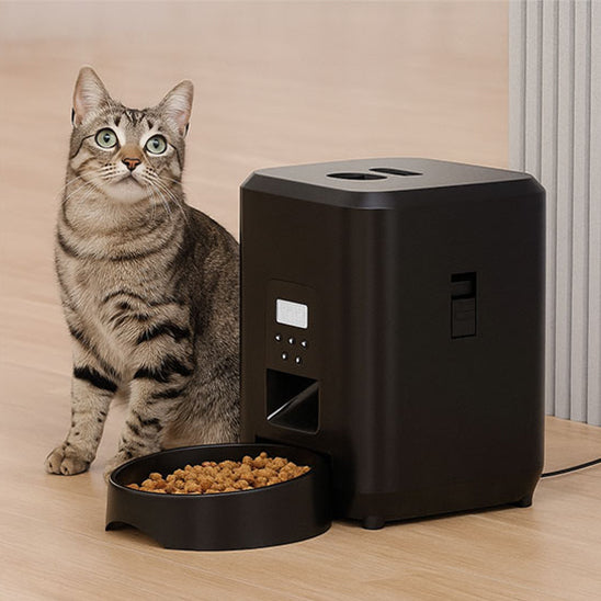 distributeur automatique croquettes chat tigre ZYfeeder