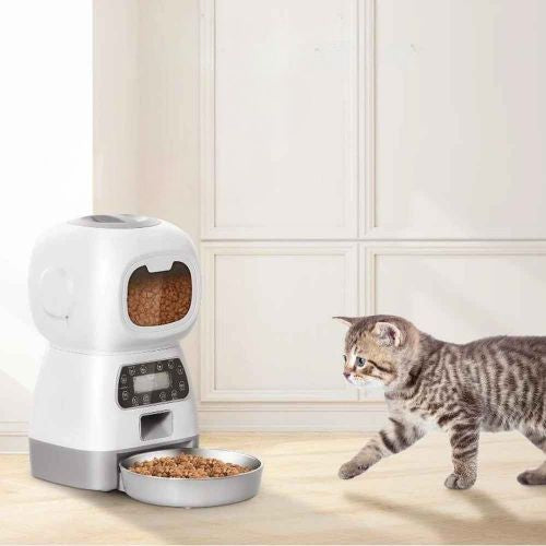 distributeur croquette chat automatique avec chaton autofeder