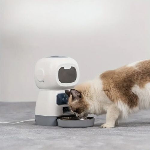 distributeur croquette chat automatique qui mange autofeder