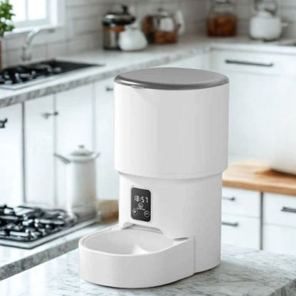 distributeur croquette chatd ans une cuisine ZYfeederSolo