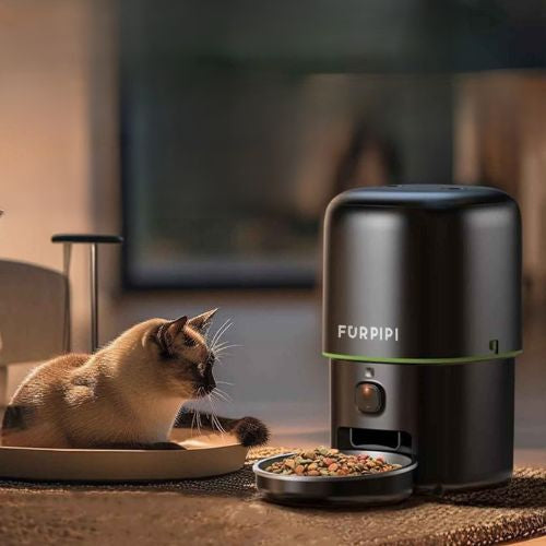 distributeur croquettes pour chat pres de son bol Furpipi