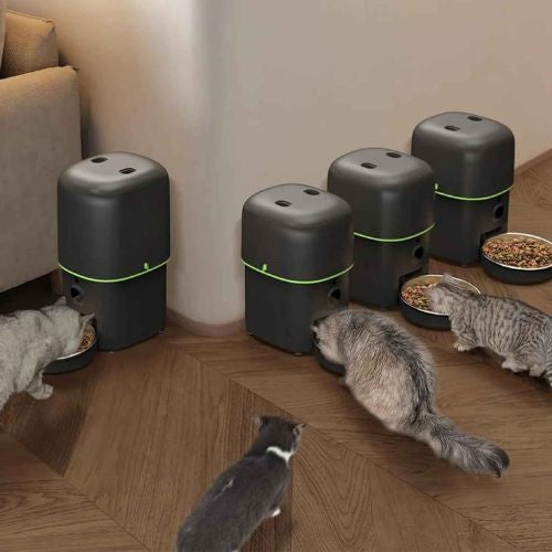 distributeur croquettes pour chat qui mange avec ses congeneres Furpipi