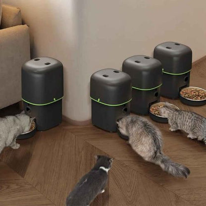 distributeur croquettes pour chat qui mange avec ses congeneres Furpipi