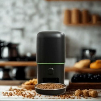 distributeur croquettes pour chat sur comptoir cuisine Furpipi