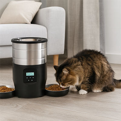 distributeur de croquettes pour chat repas equilibre voford