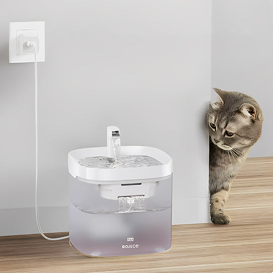 distributeur d'eau pour chat adaptateur rojecoBlanche