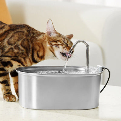distributeur eau chat stimule hydratation ZefeederZ