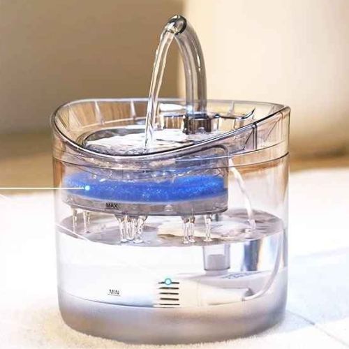 distributeur eau pour chat image autofeeder