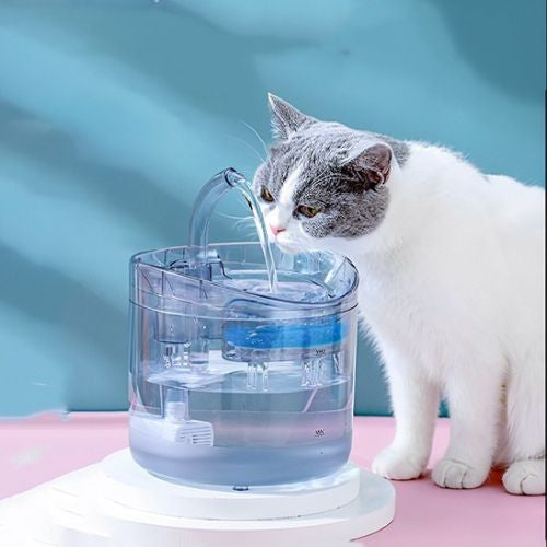 distributeur eau pour chat qui boit autofede