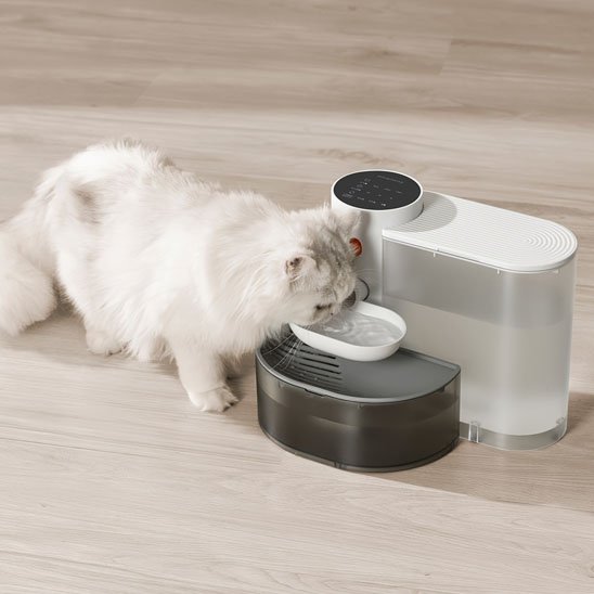 fontaine a eau chat boit Petgravity