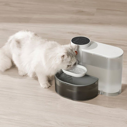 fontaine a eau chat boit Petgravity