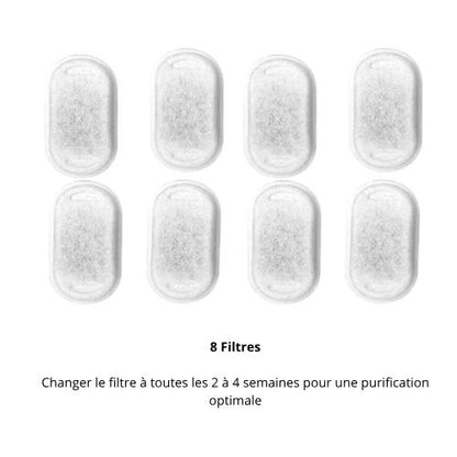 fontaine à eau pour chat achat filtres Zyfeeder