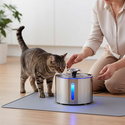 fontaine à eau pour chat avec humaine et chat mainland 