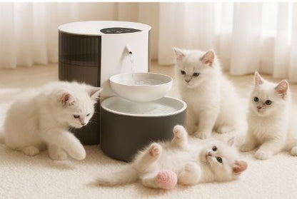 fontaine a eau pour chat avec trois chatons dumping