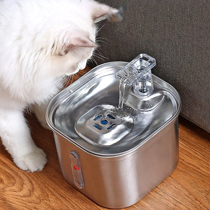 fontaine a eau pour chat boit my care