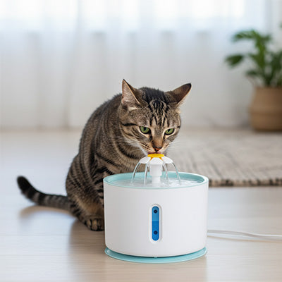 fontaine chat desing fleurale luxurious