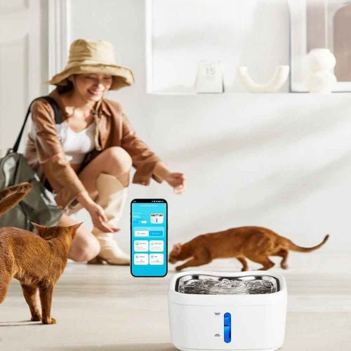 fontaine pour chat autonomie une semaine oyes