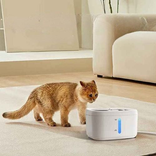 fontaine pour chat dans design salon oyes