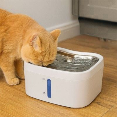 fontaine pour chat qui boit oyes