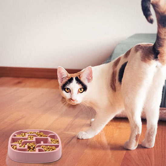 gamelle anti glouton chat avec chat calico Universel