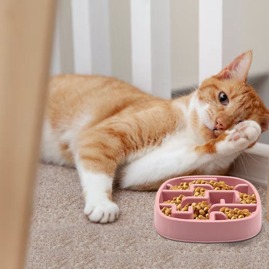 gamelle anti glouton chat avec chat caramel et blanc Universel