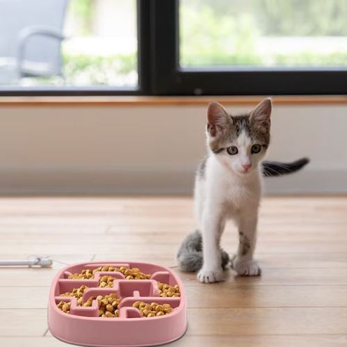 gamelle anti glouton chat avec chaton Universel