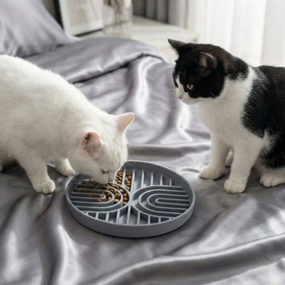 gamelle anti glouton chat noir et blanc qui mange huanleyangguang