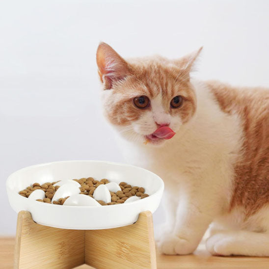 gamelle anti glouton chat pres du bol Distributeu Lent