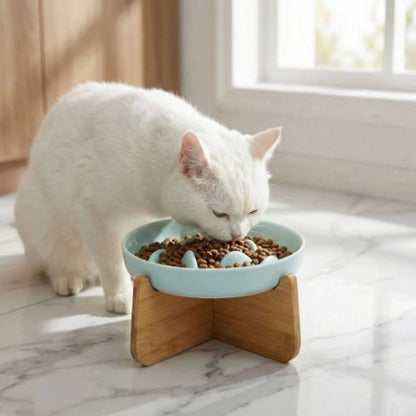 gamelle anti glouton chat qui mange dans cuisine Distributeur Lent