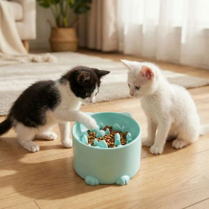 gamelle anti glouton chaton au salon CN