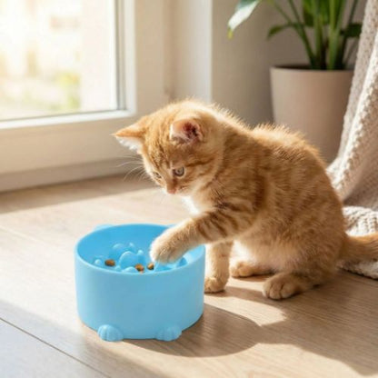 gamelle anti glouton chaton caramel CN