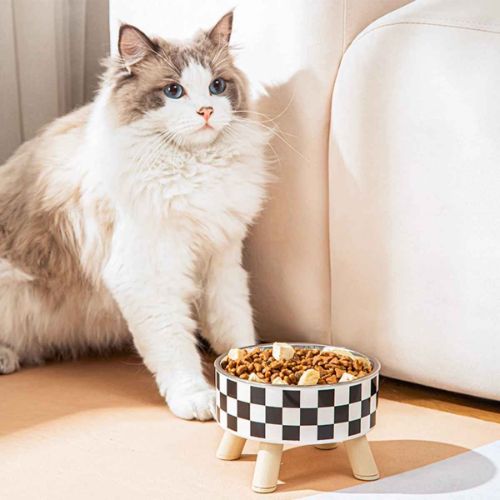 gamelle chat avec chat single
